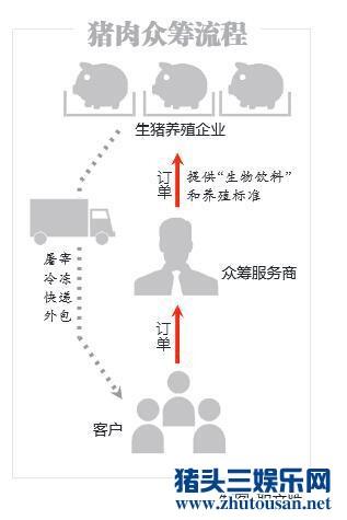 百余吃货“众筹”60头猪 地球人已经不能阻中国式众筹了！