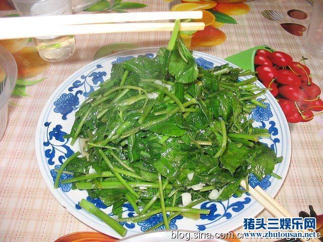 鸭儿芹——中华野菜