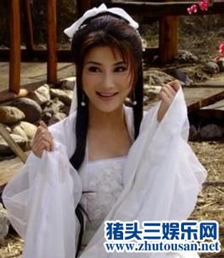 一代功夫女神杨丽菁形象毁在整容风波里 还惨遭俩闺蜜夺走男友