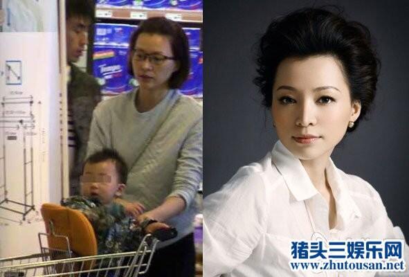 43岁董卿与富商隐婚生子 盘点娱乐圈未婚生子的10大明星妈妈