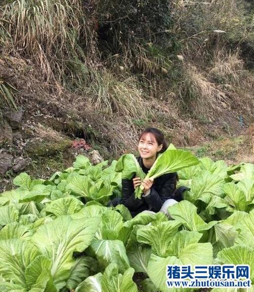 沈梦辰和朋友聚餐豪迈吃龙虾 沈梦辰杜海涛分手了吗？