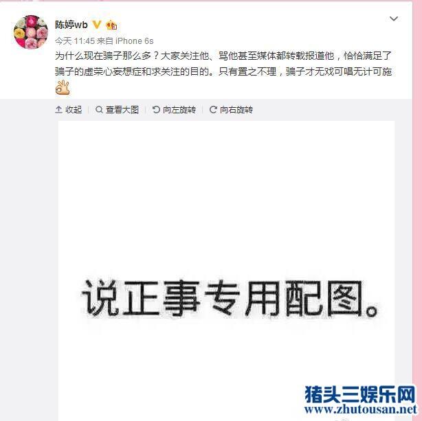 张艺谋妻子再批陈剑：妄想求关注置之不理骗子才无计可施