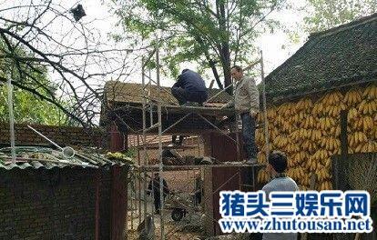 “大衣哥”朱之文修老家院门 墙上玉米却遭网友调侃