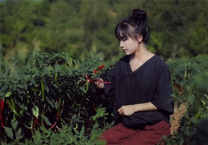 李子柒家的院子在哪里 李子柒家在哪个村什么山