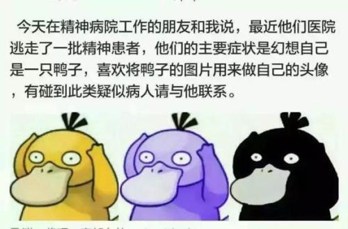 可达鸭为什么这么受欢迎 这些可达鸭表情包你一定没见过