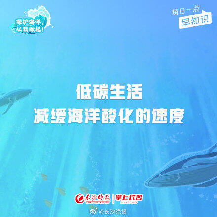 世界海洋日是什么时候 保护海洋都能做些什么