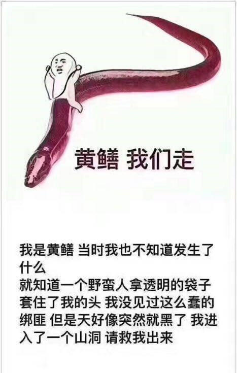 男人是善变的什么梗 男人都是鳝变的意思