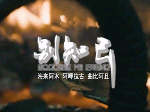 不知不觉天就亮起来是什么歌，别知己歌曲介绍