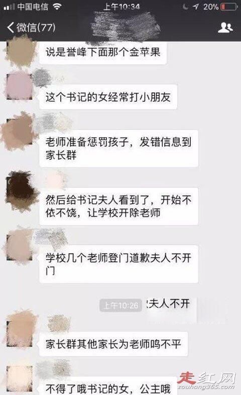 成都严夫人幼儿园事件来龙去脉 严春风的妻子李向阳