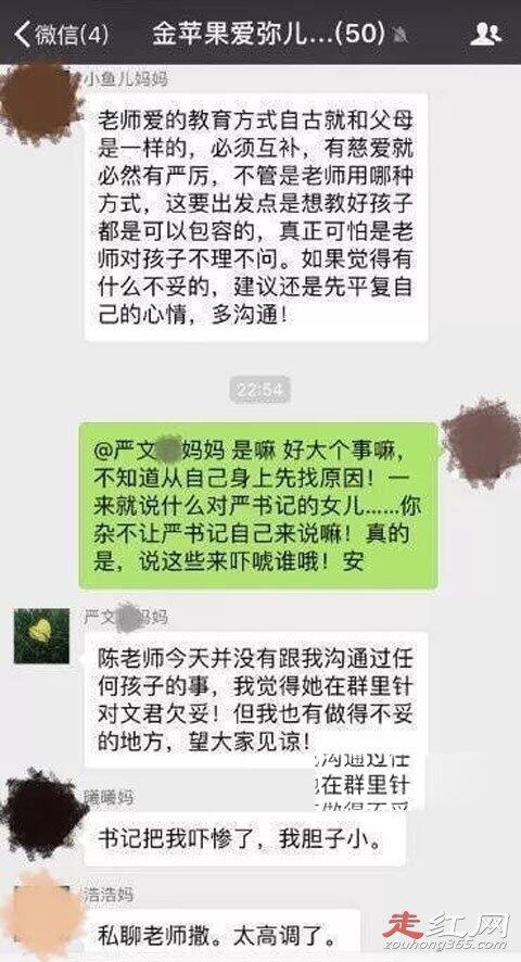 成都严夫人幼儿园事件来龙去脉 严春风的妻子李向阳